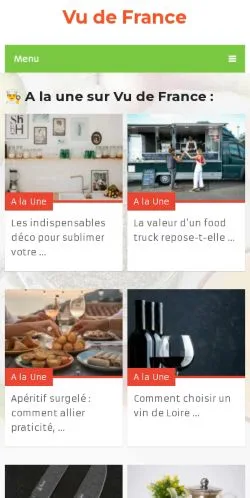 Podgląd witryny Vu de France, medium z kraju Francja do artykułów sponsorowanych