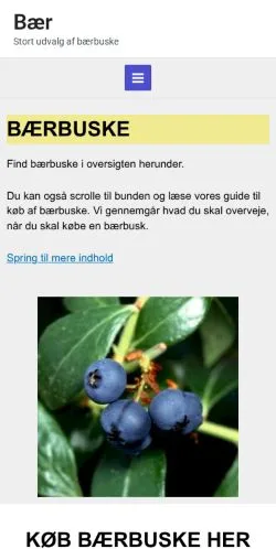 Förhandsvisning av webbplatsen Bær, medium i Danmark för sponsrade artiklar