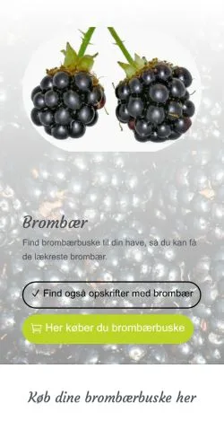 Anteprima del sito brombær, media di Danimarca per articoli sponsorizzati
