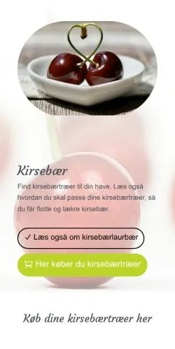 Anteprima del sito kirsebær, media di Danimarca per articoli sponsorizzati