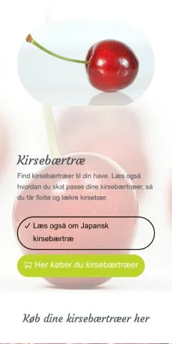 Anteprima del sito kirsebærtræ, media di Danimarca per articoli sponsorizzati