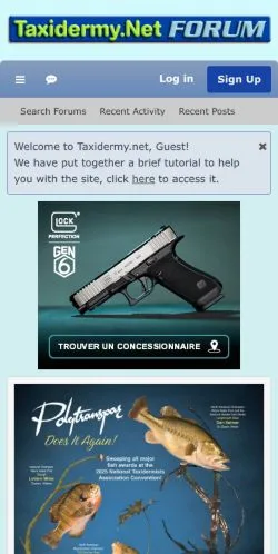Anteprima del sito Taxidermy.net Forum, media di Stati Uniti per articoli sponsorizzati