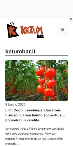 스폰서 기사용 이탈리아 매체 Ketumbar 사이트 미리보기