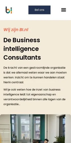 スポンサード記事向けのオランダメディア、BI Consultantのサイトプレビュー