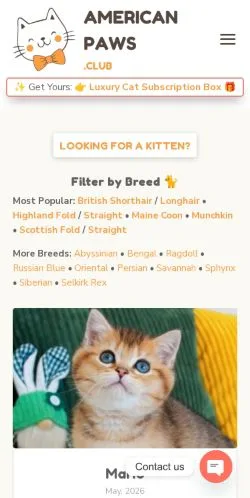 Anteprima del sito American Paws Club, media di Stati Uniti per articoli sponsorizzati