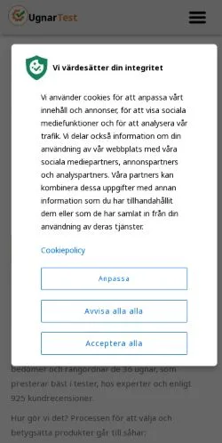 Sponsorlu makaleler için İsveç medyası Test-Ugnar sitesinin önizlemesi