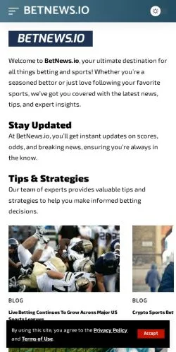 스폰서 기사용 미국 매체 Betnews 사이트 미리보기