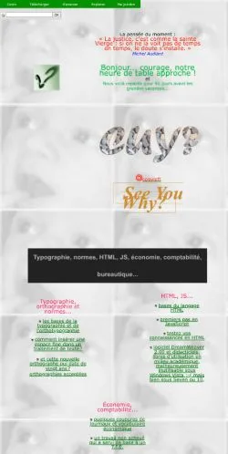 スポンサード記事向けのベルギーメディア、CUYのサイトプレビュー