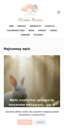 Anteprima del sito Modna Mama, media di Polonia per articoli sponsorizzati