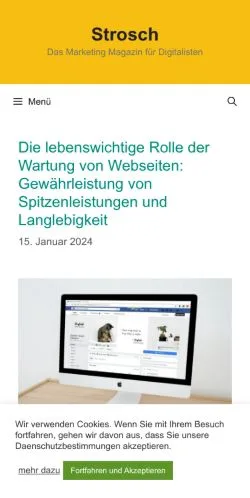 Vista previa del sitio Strosch, medio de Austria para artículos patrocinados