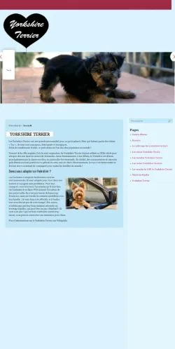 스폰서 기사용 프랑스 매체 Le Yorkshire Terrier 사이트 미리보기