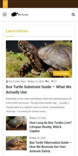 Podgląd witryny Box Turtles, medium z kraju Stany Zjednoczone do artykułów sponsorowanych