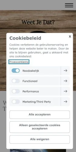 スポンサード記事向けのオランダメディア、Weet Je Datのサイトプレビュー