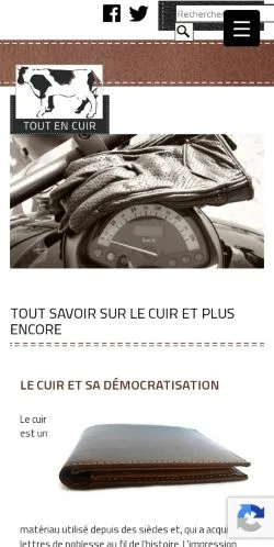스폰서 기사용 프랑스 매체 Tout Sur Le Cuir 사이트 미리보기