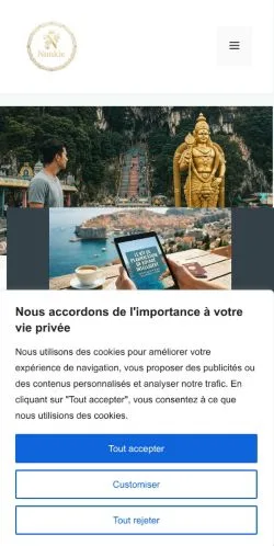 Anteprima del sito Nunkie Voyages, media di Francia per articoli sponsorizzati