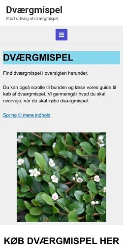 스폰서 기사용 덴마크 매체 Dværgmispel 사이트 미리보기