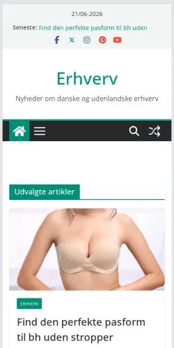 Anteprima del sito Erhverv Nyheder, media di Danimarca per articoli sponsorizzati
