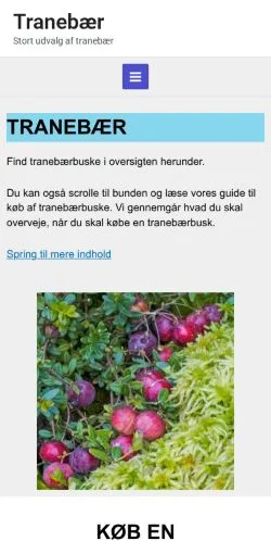 Vorschau der Website Tranebær, Medium aus Dänemark für gesponserte Artikel