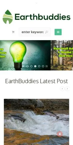 Podgląd witryny Earthbuddies, medium z kraju Stany Zjednoczone do artykułów sponsorowanych