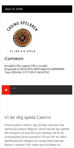Anteprima del sito Vi lär dig spela Casino, media di Svezia per articoli sponsorizzati