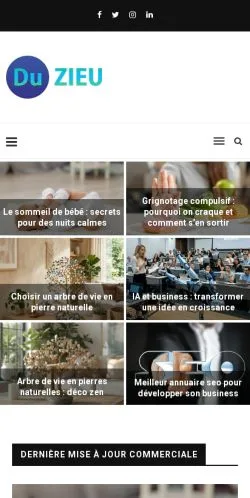 スポンサード記事向けのフランスメディア、Du Zieuのサイトプレビュー