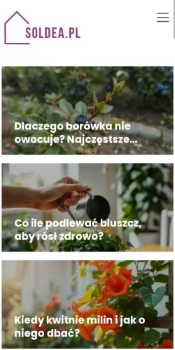 Förhandsvisning av webbplatsen Soldea, medium i Polen för sponsrade artiklar