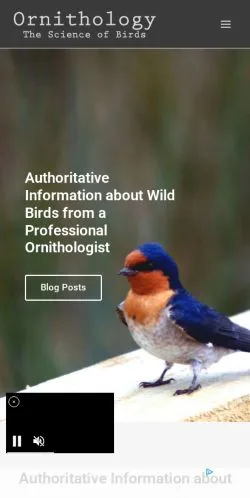 스폰서 기사용 미국 매체 Ornithology 사이트 미리보기
