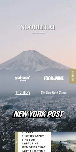 Vorschau der Website Noodlecat, Medium aus Vereinigte Staaten für gesponserte Artikel