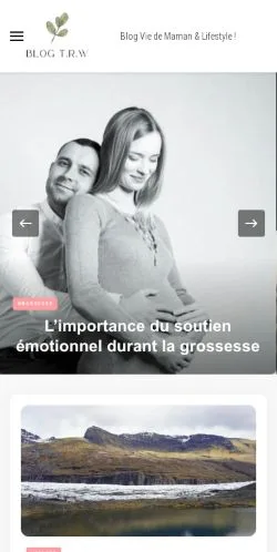 Vista previa del sitio Vie De Maman & Lifestyle, medio de Francia para artículos patrocinados