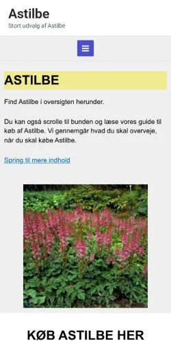 Preview of the Astilbe website, a media outlet in Denmark for sponsored articles