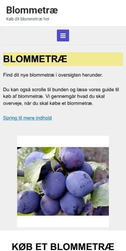 스폰서 기사용 덴마크 매체 Blommetræ 사이트 미리보기