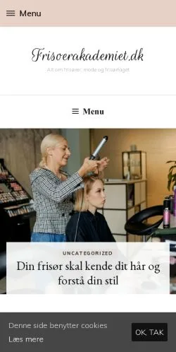 Podgląd witryny Frisørakademiet, medium z kraju Dania do artykułów sponsorowanych