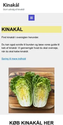 Podgląd witryny Kinakål, medium z kraju Dania do artykułów sponsorowanych