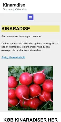 Podgląd witryny Kinaradise, medium z kraju Dania do artykułów sponsorowanych