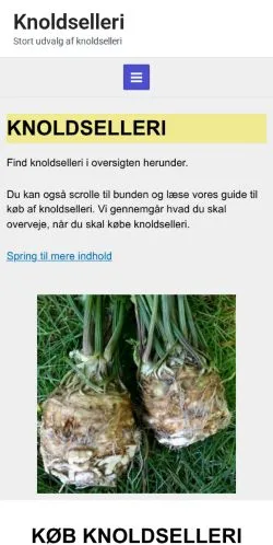 Anteprima del sito Knoldselleri, media di Danimarca per articoli sponsorizzati