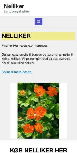 Vorschau der Website Nelliker, Medium aus Dänemark für gesponserte Artikel