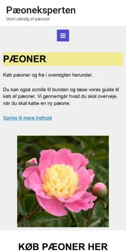 스폰서 기사용 덴마크 매체 Pæoneksperten 사이트 미리보기