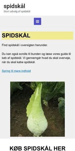 Anteprima del sito Spidskål, media di Danimarca per articoli sponsorizzati