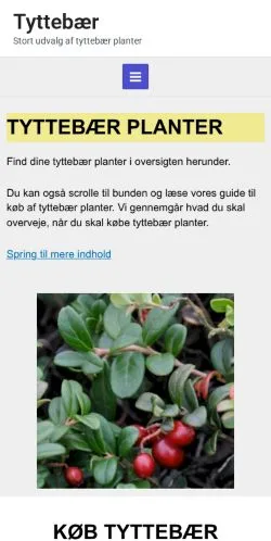 Anteprima del sito Tyttebær, media di Danimarca per articoli sponsorizzati