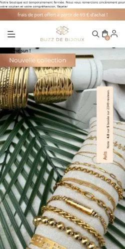 Vorschau der Website Buzz de Bijoux, Medium aus Frankreich für gesponserte Artikel