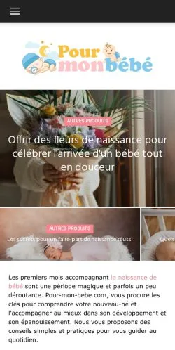 Anteprima del sito Pour Mon Bebe, media di Francia per articoli sponsorizzati