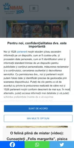 Anteprima del sito Animal Zoo, media di Romania per articoli sponsorizzati