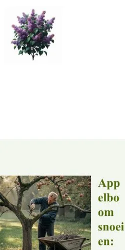 Podgląd witryny Appelboom Snoeien, medium z kraju Holandia do artykułów sponsorowanych