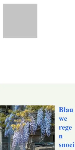 스폰서 기사용 네덜란드 매체 Blauwe Regen Snoeien 사이트 미리보기