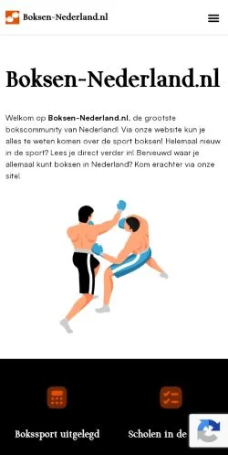 Anteprima del sito Boksen Nederland, media di Paesi Bassi per articoli sponsorizzati