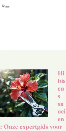 Anteprima del sito Hibiscus Snoeien, media di Paesi Bassi per articoli sponsorizzati