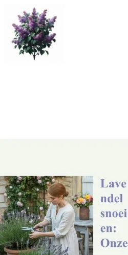 Anteprima del sito Lavendel Snoeien, media di Paesi Bassi per articoli sponsorizzati