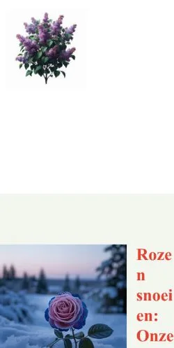 Anteprima del sito Rozen Snoeien, media di Paesi Bassi per articoli sponsorizzati
