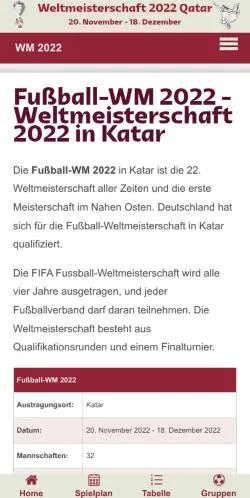 スポンサード記事向けのドイツメディア、Fußball WM 2022 In Katarのサイトプレビュー