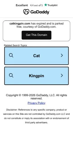 スポンサード記事向けのアメリカ合衆国メディア、Cat Kingpinのサイトプレビュー